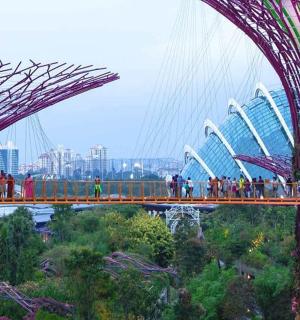 一群人在城市的一座桥上