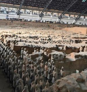 a large herd of sheep in a large arena