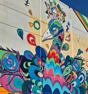 a painting of a peacock on the side of a building