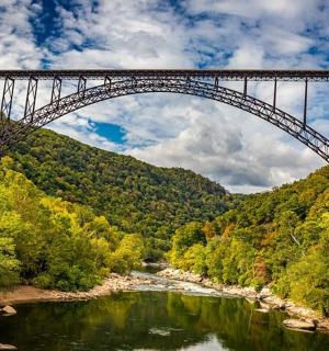 most nad rzeką w środku lasu