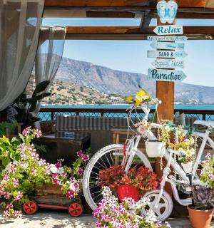 a white bike parked next to flowers in a market