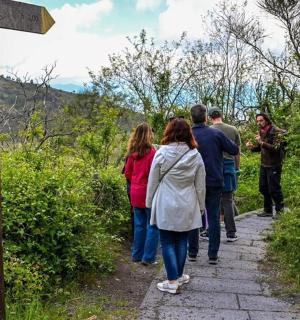 eine Gruppe von Menschen, die einen Pfad entlanggehen