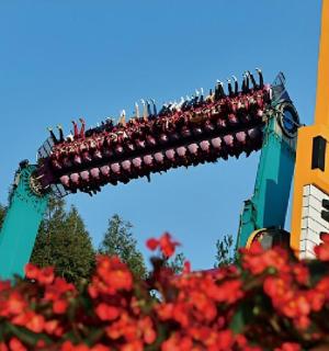 一群人乘坐过山车