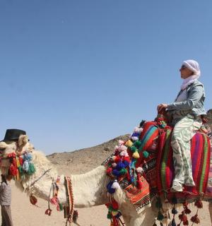 a man riding on the back of a camel in the desert