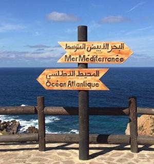 海滩上带有箭头的标志