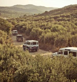 a group of vehicles parked on a dirt road