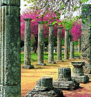 eine Reihe von Bäumen mit rosa Blüten im Hintergrund