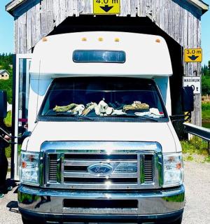 一名男子站在一辆白色卡车旁边