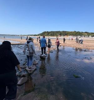 一群人站在海滩上的水中