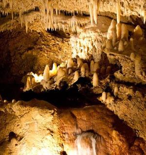 egy barlangban álló állatcsoport