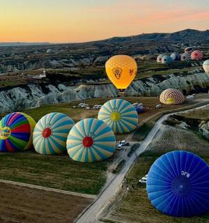 a group of hot air balloons flying over a field