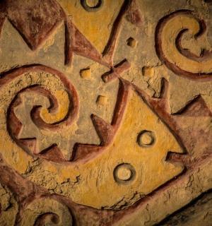 detail kusu dřeva se vzory na něm