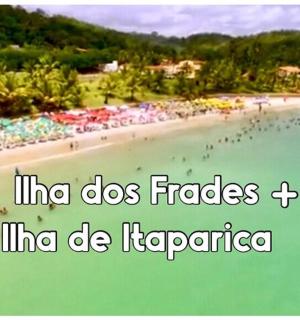 一群人在水中的海滩