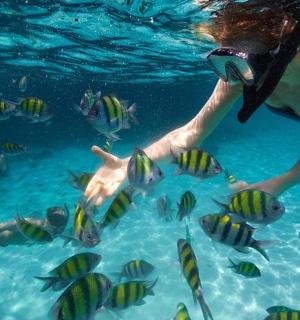 žena ve vodě pozorující ryby