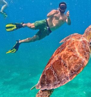 a man swimming next to a turtle in the water