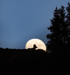 osoba sedící na kopci před úplňkem