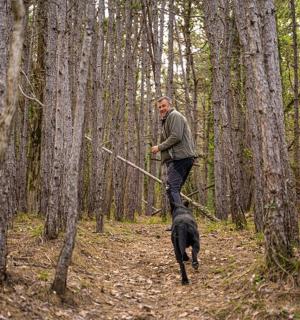 ein Mann, der mit einem Hund im Wald spazieren geht