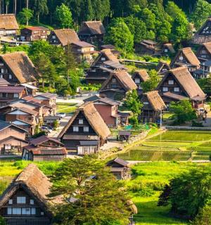 a village with houses on a hill with trees