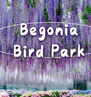 a field of purple flowers with the words beyond bird park