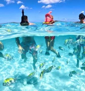 people swimming in the ocean with a group of fish