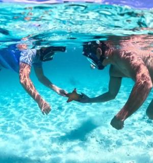 a group of people swimming in the water