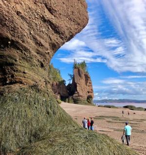 一群人在一块大石头旁的海滩上散步