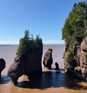 海滩上的一组水中的岩石