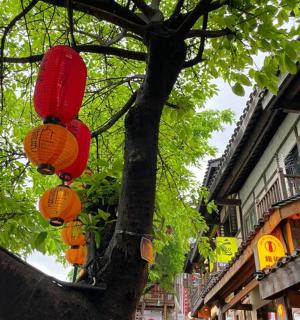 一棵挂着红色和橙色灯笼的树