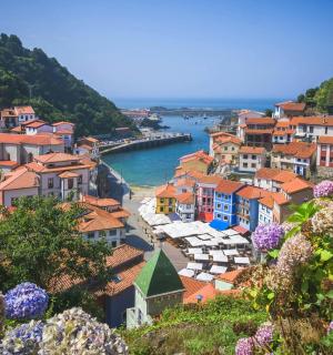 a view of a town on a hill with flowers