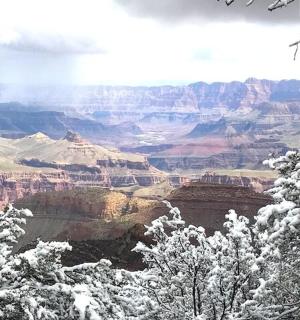 雪中大峡谷的景色