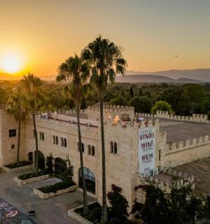 以日落为背景的建筑物俯视图