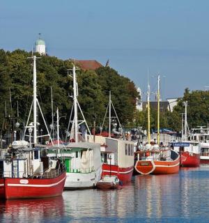 a group of boats docked in a harbor