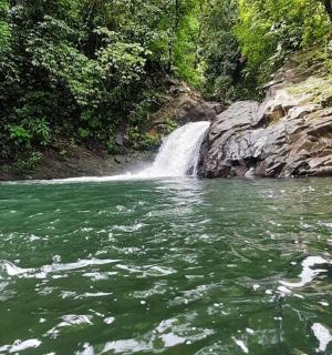 绿水河前的瀑布