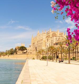 一栋毗邻粉色花朵水体的建筑