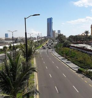 an empty highway in a city with palm trees and buildings