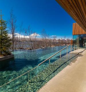 一座有水池的建筑，水池上有一棵树