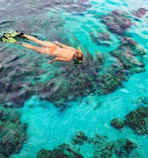 在岩石附近的水中游泳的人