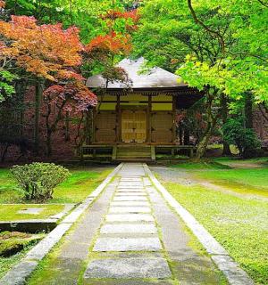 一条通往一栋有黄色门的房子的小路