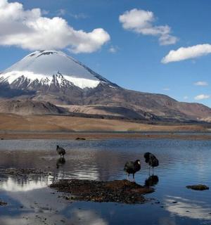 a mountain with birds standing in a body of water