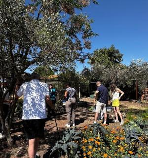 一群人站在花园里