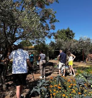 一群人穿过花园