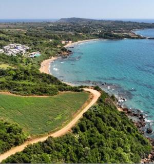 an aerial view of a beach and the ocean