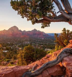 岩石上的一棵树,背景是群山