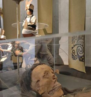 odraz figuríny ve vitríně v muzeu