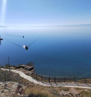 大片水域中的船