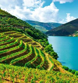 ein Haufen Feldfrüchte auf einem Hügel neben einem See