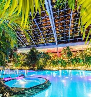 una gran piscina en un complex turístic amb palmeres