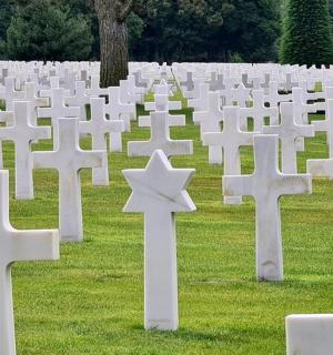 草地上的一组白色十字架