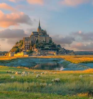 岛上的城堡,田野里有羊