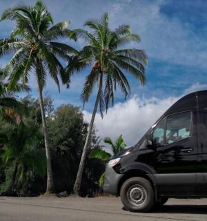 a black van driving down a street with palm trees